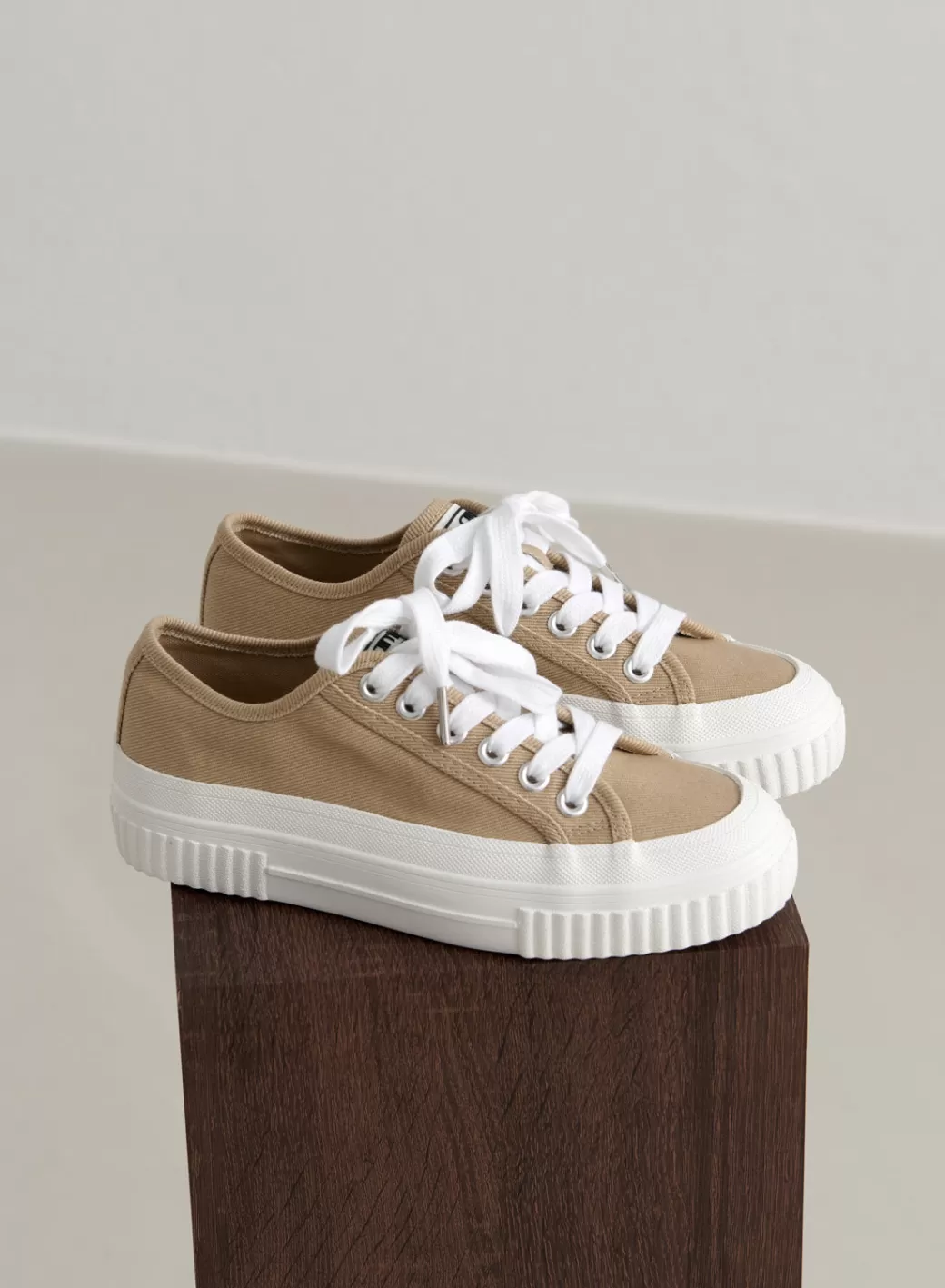 Cotton Canvas Sneakers | AIM’N Clearance