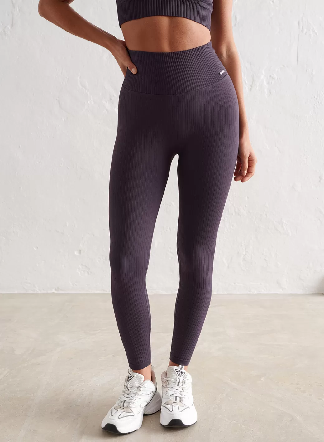 Ribbed Seamless Tights | AIM’N Flash Sale